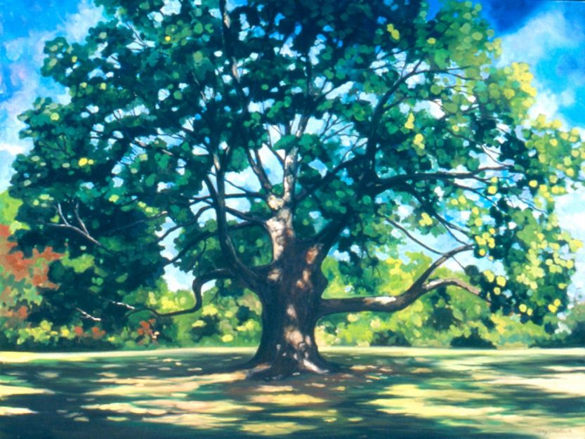 Oak Tree